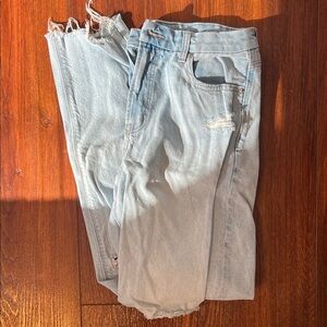 American Eagle Women’s Strigid Curvy Distressed Mom Jeans